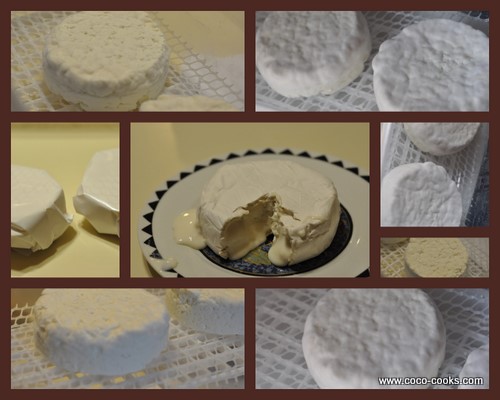 Post image for Making Petit Brie at Home and Baked Brie with Caramelized Onions